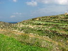 Terrassen auf Gozo