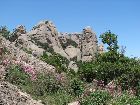 Bergwelt von Montserrat