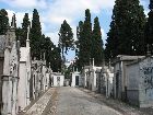 Friedhof Prazeres